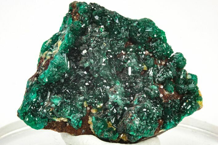 Sparkling Dioptase Crystals with Mimetite - N'tola Mine, Congo #209670